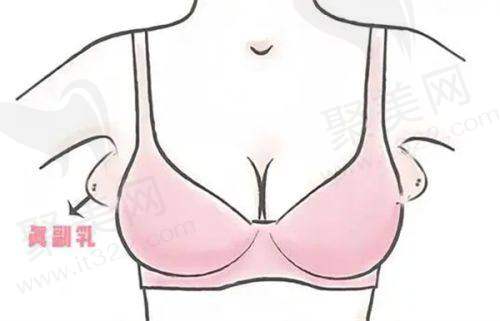 结尾总结:广州丽合和艺星的特色和选择