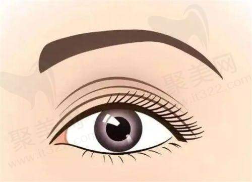 六、医生收费价格明细