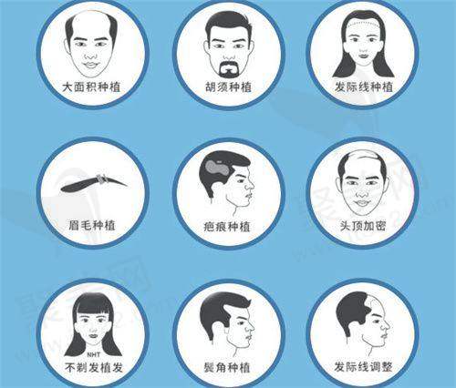 八、总结
