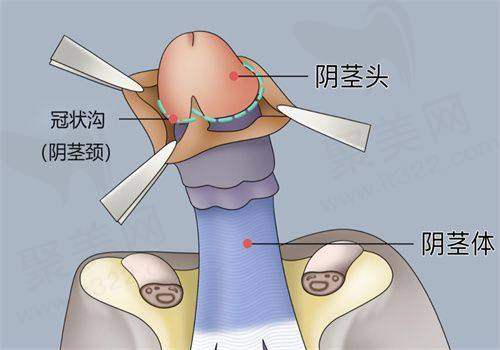 二、中南大学湘雅三医院美容科擅长的项目及技术优势