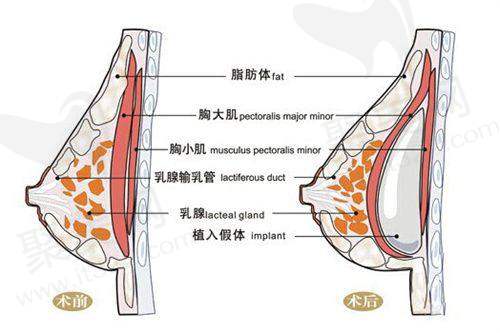 成都军大整形外科医院刘绪立医生预约方式
