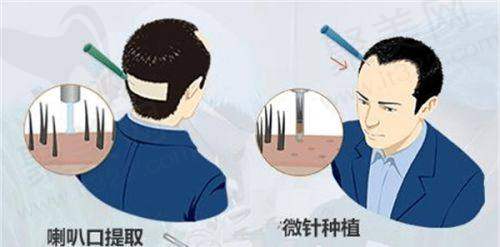 七、顾客实例分享