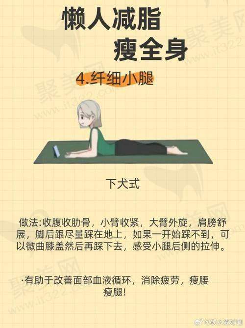 奥利司他减肥药哪个牌子正品国家认证，安全高效排油减脂，夏季减肥必备选择！