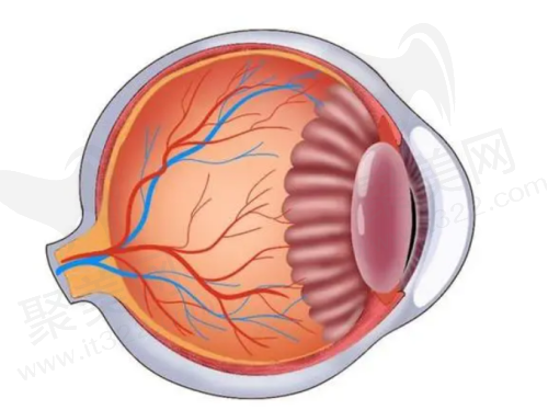 芜湖欧普眼视光优视眼科诊所患者评价：