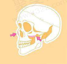 上海华美医疗美容医院详细地址和具体的乘车路线