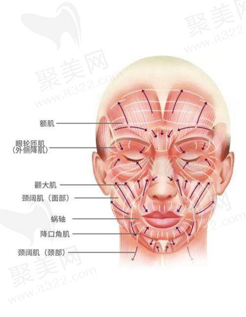 二、张林宏医生拉皮手术的技术特色