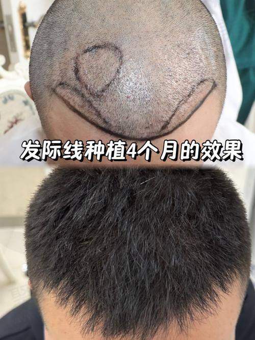 六、医生收费价目表