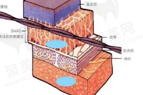 王栋医生的口碑评价