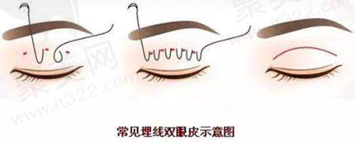 杨迪医生资质信息