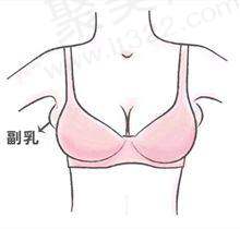 袁野医生资质信息