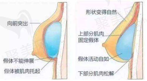 六、厦门思明时匠漾芷医疗美容门诊部真实的患者评价如下：