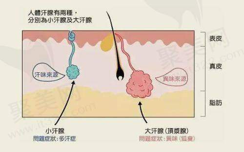 五、廊坊凯润婷医疗美容门诊部医生介绍