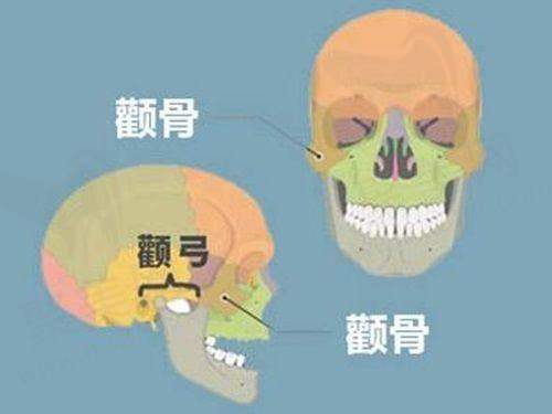 贾治兰医生预约方式