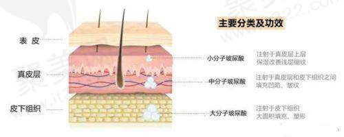 合肥华美整形外科医院朱德刚医生资质信息