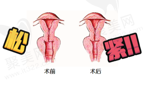 想找侯智慧医生看病，在嘉禾妇儿医院咋预约？