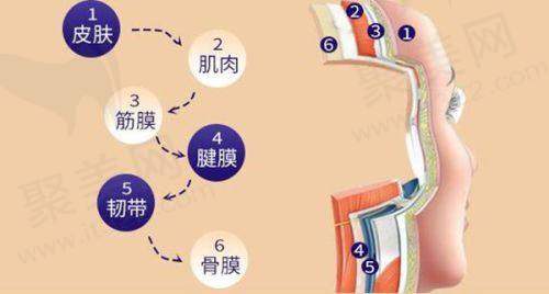 石家庄美莱医院电话预约挂号咋操作？电话号码、位置、营业时间及医院优势全揭秘