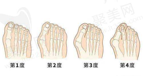 刘秀艳医生资质信息