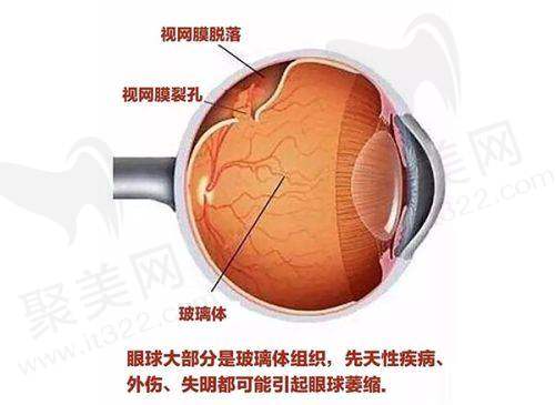沈阳四院眼科放号时间