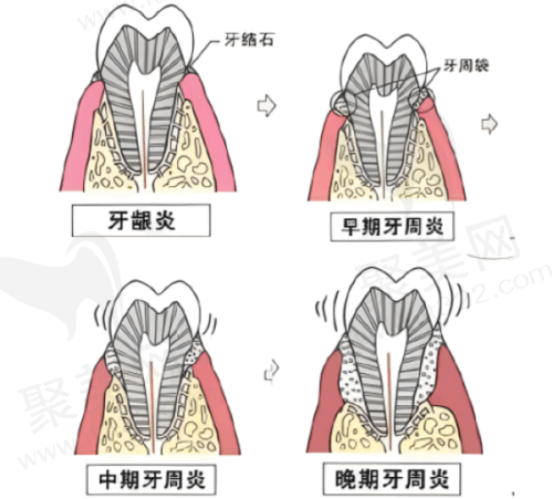 总结与建议