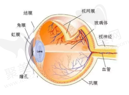 沈阳爱尔眼科总院预约电话及其他预约方式