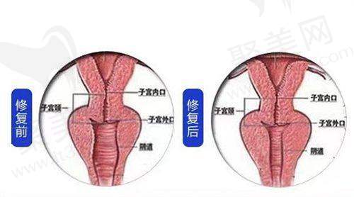 袁继龙医生的口碑评价