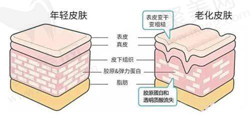 柳州华美医疗美容医院胸部整形价格