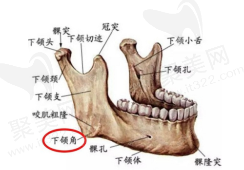 3. 东莞华美整形