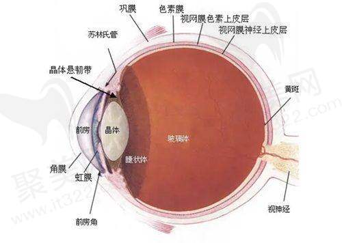 乌鲁木齐美尼康眼科医院属于哪个区，口碑咋样呢？