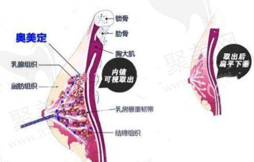 广州荔湾医院取奥美定的价格表