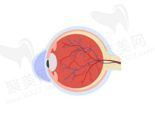 天津普瑞眼科医院口碑好不好？医疗保险定点与项目多样显优势