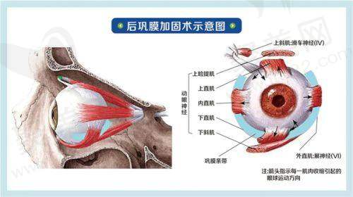 五、南方医 科 大学顺德医院眼科怎么预约：