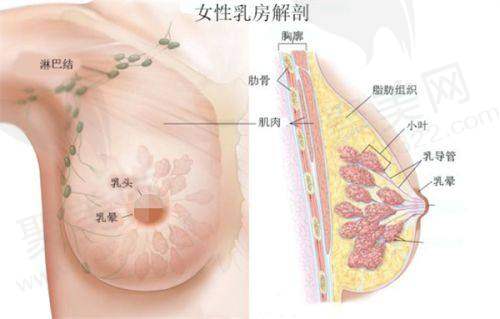 7. 惠州百佳伊丽莎白医疗美容医院