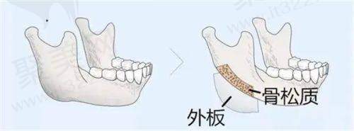 王晓敏医生简介