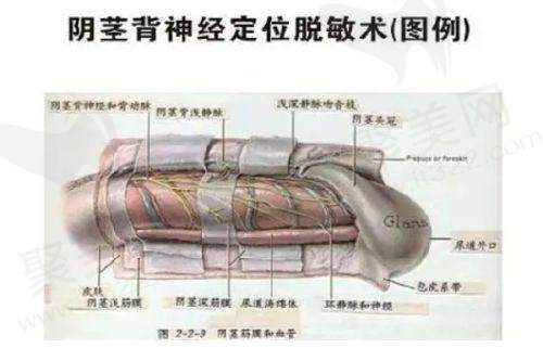 二、深圳非凡整形医院专精医生团队