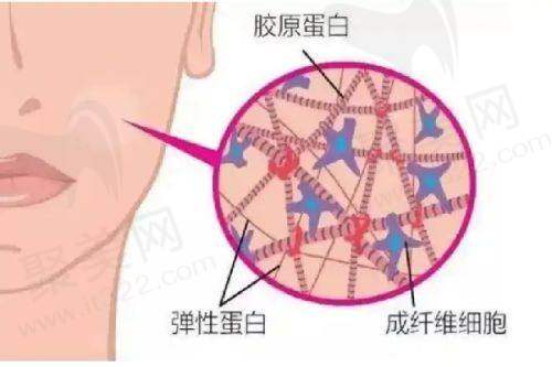 北京四季青橙门诊部预约方式有哪些之在线预约