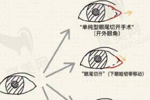 张永医生的教育背景如何？