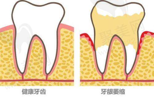 四、上海雅郑口腔门诊部基本信息：