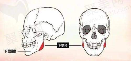 深圳今喜医疗美容曹孟君医生的技术优势