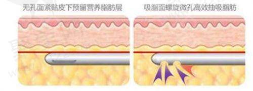 曹孟君医生个人资历与荣誉