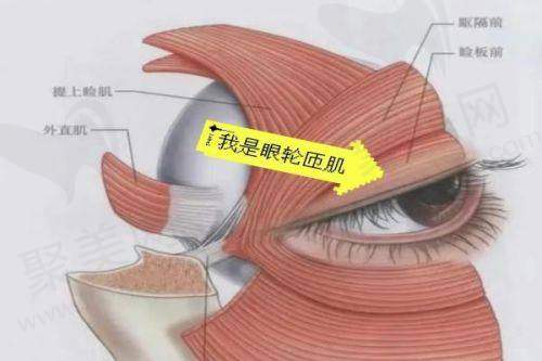 二、哈尔滨全切双眼皮修复好的医生