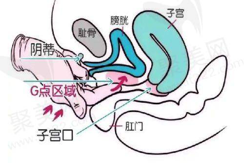 五、南昌市第一医院医疗美容科怎么预约：