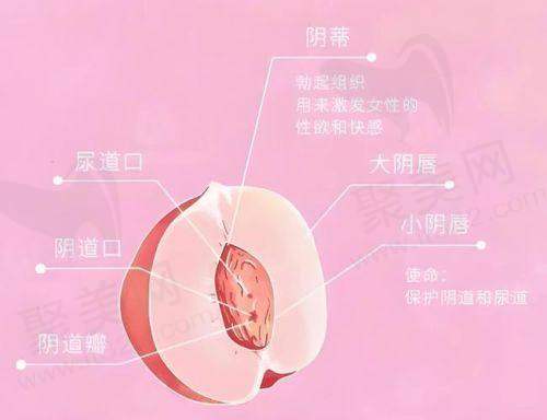 3D生物束带吸收后的再手术可能性