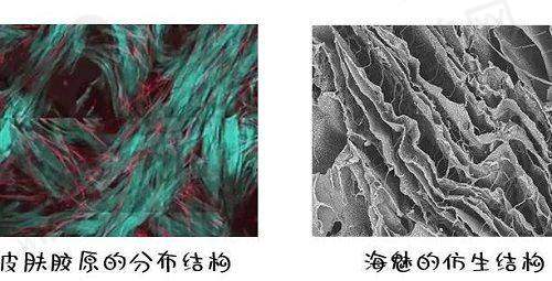 一、沈阳名流整形医院的正规资质