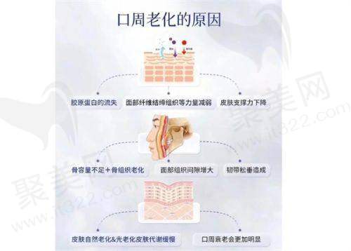 二、常春院长的擅长技术及优势