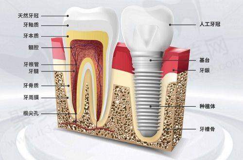 上海鼎植医生周建亭医生个人资质