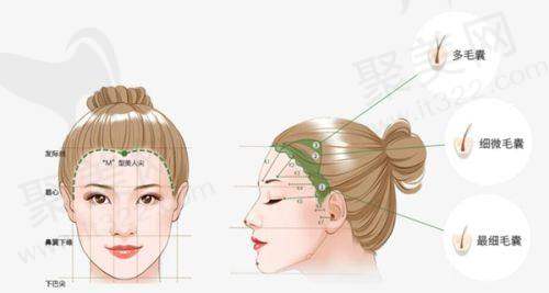 七、北京碧莲盛植发医生李嘉恒预约挂号指南