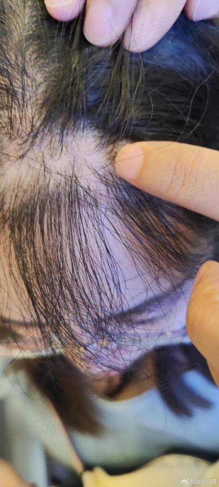 技术优势显著:核心技术铸就出色成效